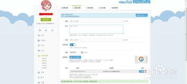 视频投稿,揭秘创作灵感与传播魅力