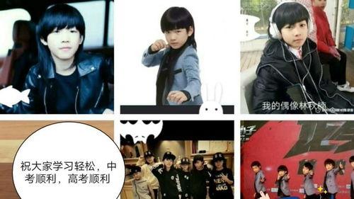 林秋楠视频大全,精彩瞬间回顾