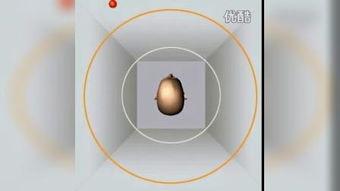 跳蛋测试视频,体验与感受全解析