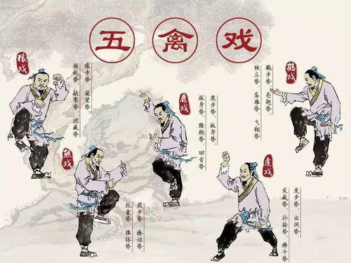 导引术十二功法完整演示视频,完整视频教程概述