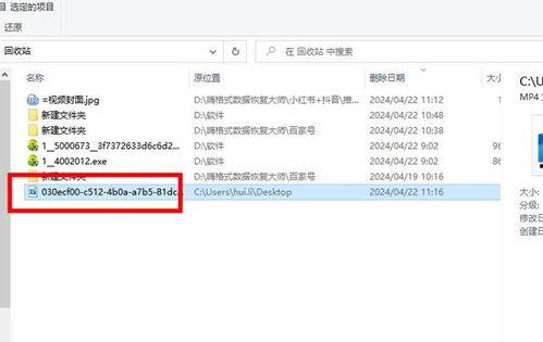 删除的视频可以找回吗,揭秘视频删除后的恢复之道