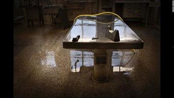 殡仪馆火化死人视频,生死轮回的庄严仪式