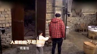 小明看看成年人视频,小明的视频观察日记