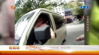 查违章视频,一图览尽常见交通违法行为