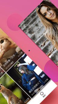 下载袋熊视频最新版,探索全新功能,畅享极致观影体验